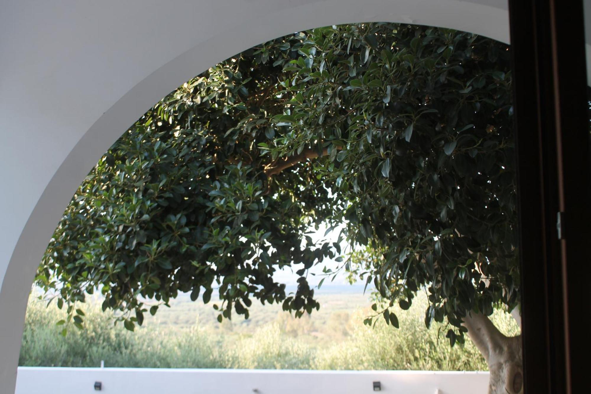 A Crystal Clear House In Pyrgos, Heraklion Crete Pirgos  Екстериор снимка